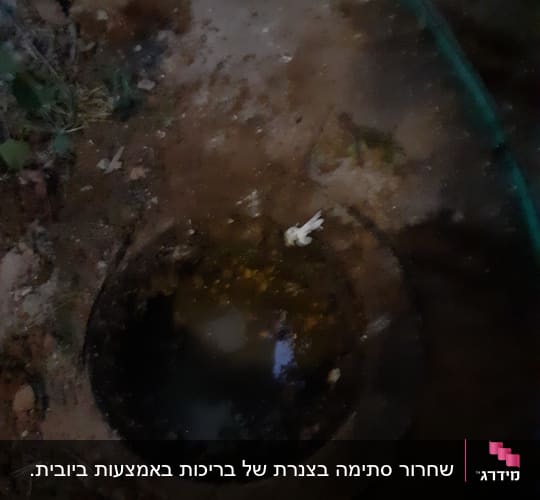 פתח ביוב עם מים עומדים וסביבה אדמה רטובה